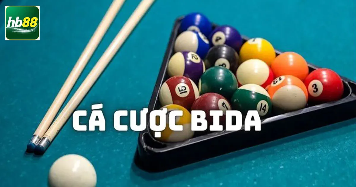 cá cược bida