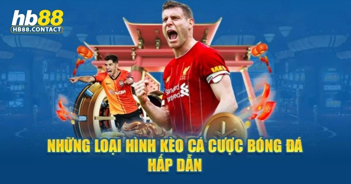 Cá Cược Bóng Đá HB88: Hướng Dẫn Toàn Diện 2 Bóng Đá HB88: Các loại kèo cá cược phổ biến