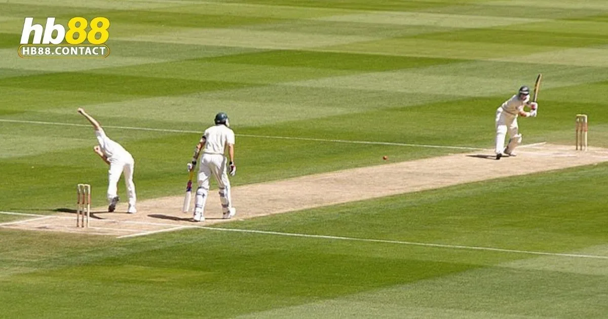 Cá Cược Cricket HB88: Hướng Dẫn Và Mẹo Chơi Thắng Lớn 1 Cricket HB88: Cách cá cược cricket tại HB88