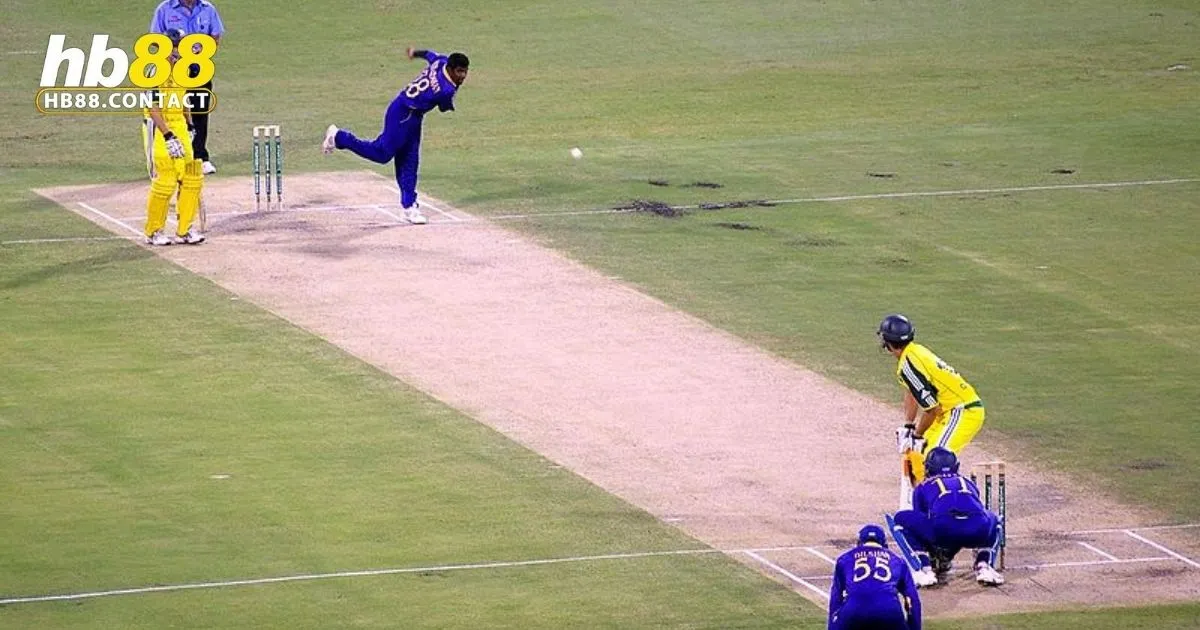 Cá Cược Cricket HB88: Hướng Dẫn Và Mẹo Chơi Thắng Lớn 3 Cricket HB88: Mẹo cá cược cricket hiệu quả tại HB88