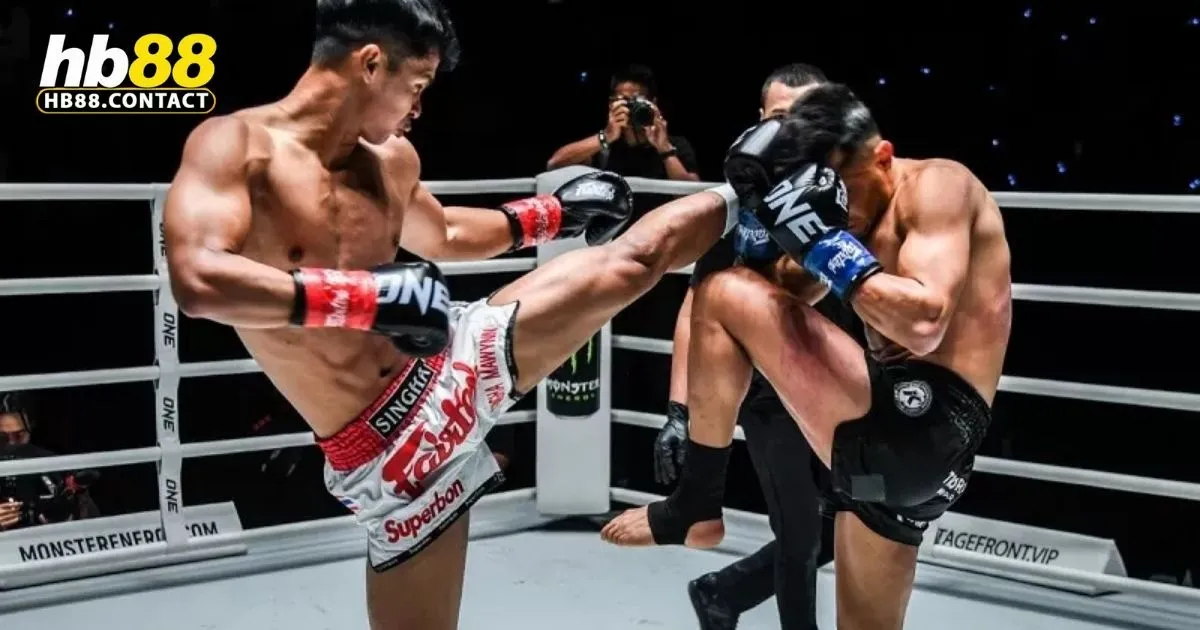 Cá Cược Quyền Anh HB88: Mẹo Và Chiến Thuật Đổi Thưởng 3 Mẹo cá cược quyền anh tại HB88